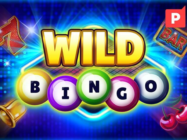 cc999 bet Bingo Selvagem